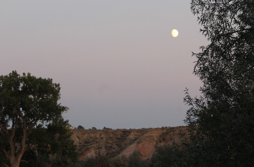 Moonlight at Ranch
